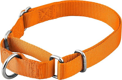 Native Pup Martingale Dog Collar, Adjustable by NativePup