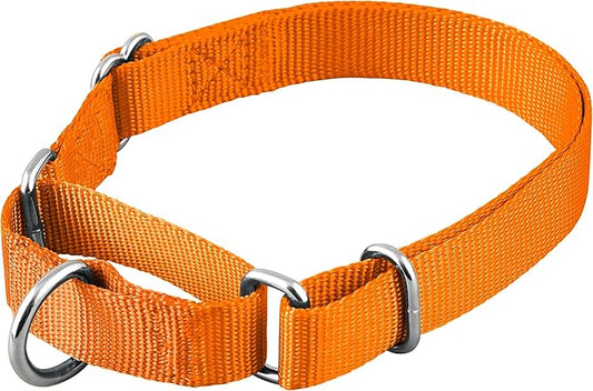 Native Pup Martingale Dog Collar, Adjustable by NativePup