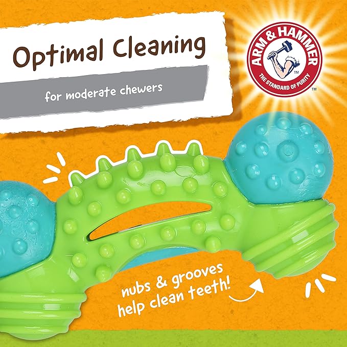 Arm & Hammer for Pets Nubbies Duality Bone Dental Dog Toy| Best Chew Toy for - Image 4