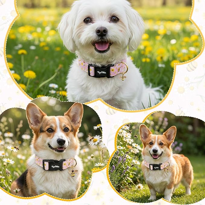 Dog Collar with Bees & Flowers Pattern, Spring Summer Collection Pink Dog - Image 5