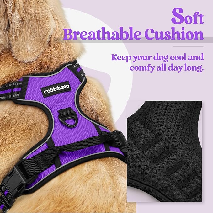 rabbitgoo Dog Harness, No-Pull Pet Harness - Image 2