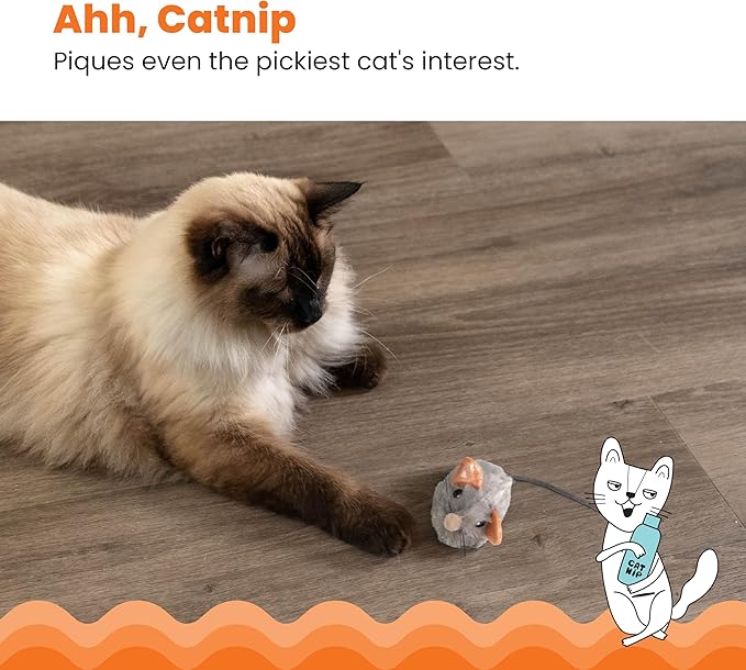Catstages Squeak Squeak Mouse Cat Toy - Image 5