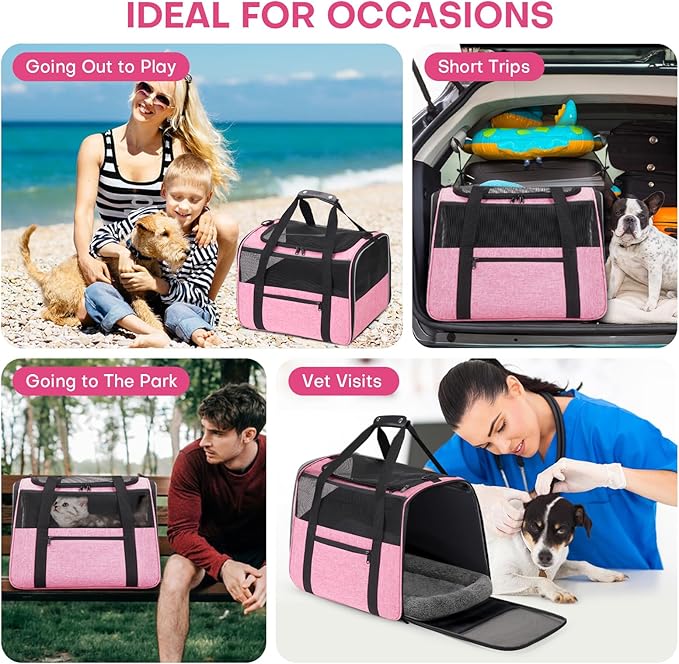JUNGYOUN Premium ​Cat Carrier - Image 3