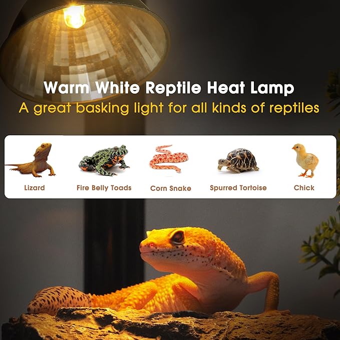 Briignite Reptile Heat Lamp 50W G9 Halogen Heat Bulb & Dome Reptile Light - Image 2