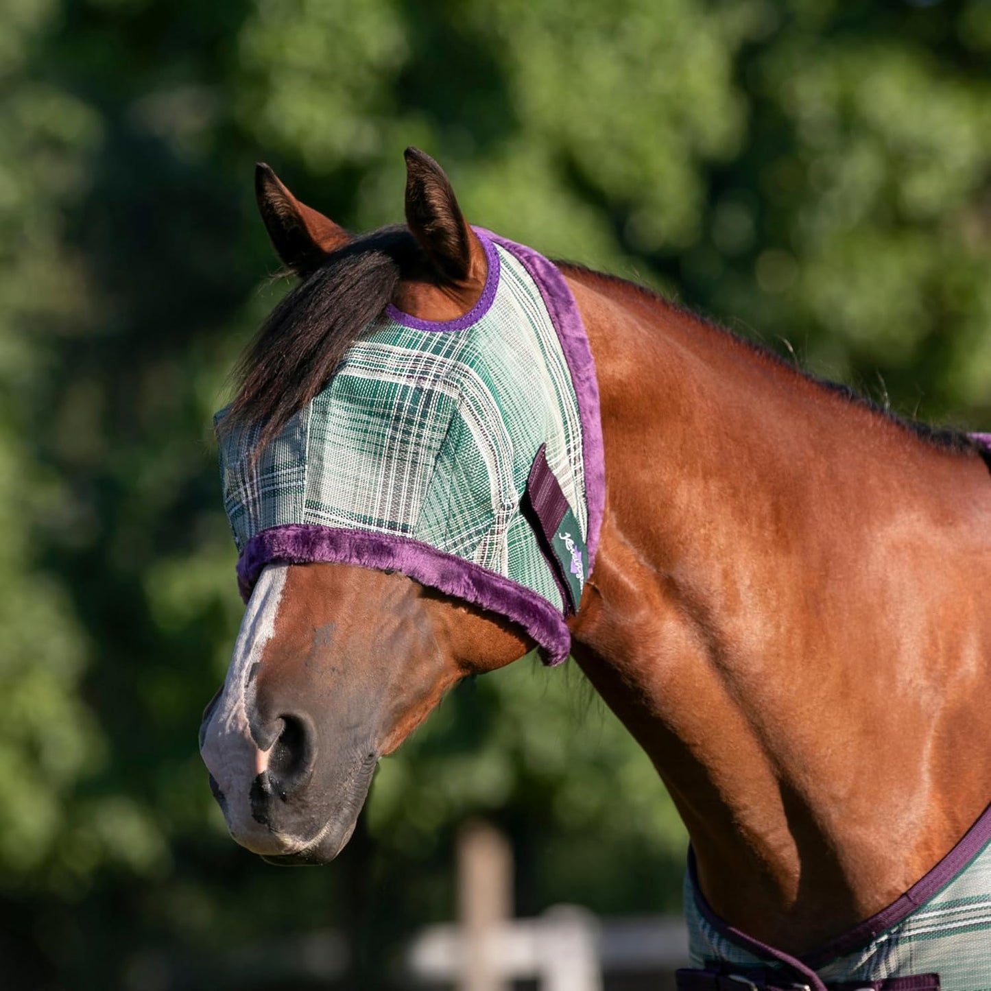 Kensington UV Fly Mask with Fleece Trim - Protective Mask with Dual Ear Opening Size: Small Color: 2019-Imperial Jade