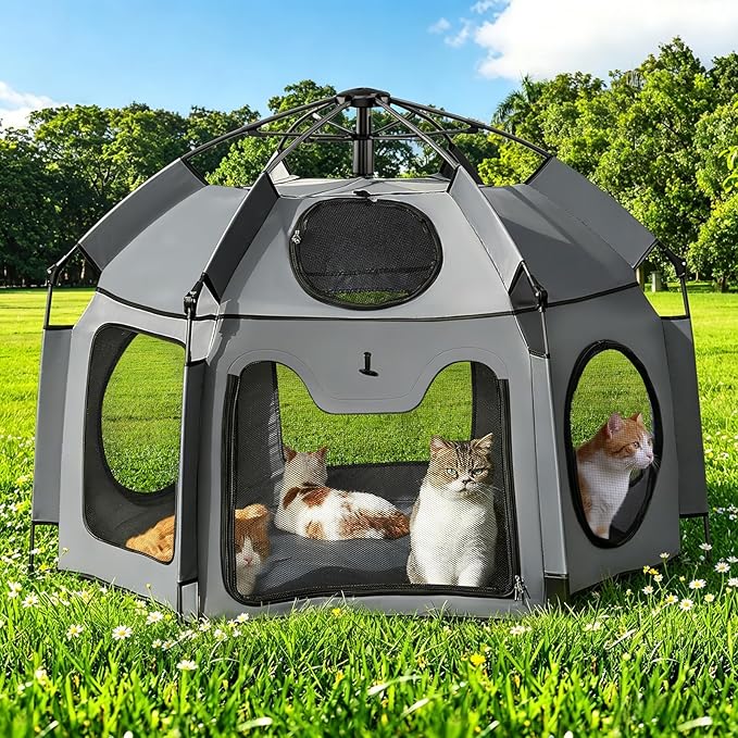 Catio Outdoor Cat Enclosure, Rywell 55” Extra Large Catio Pop Up Indoor Outdoor by Rywell