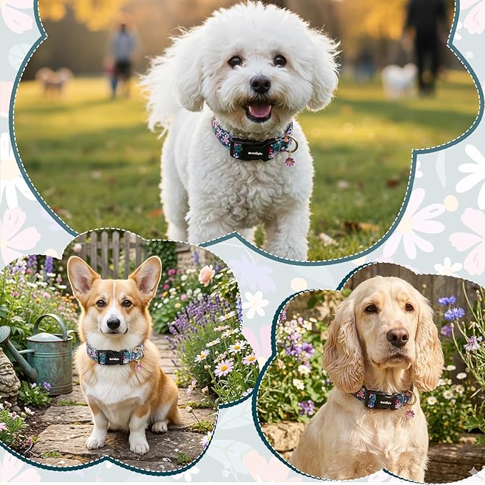 Dog Collar for Medium Dogs, Spring Dark Green Dog Collars - Image 4