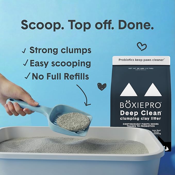 Boxie Probiotic Cat Litter, 40 Day Odor Control, Clumping Clay Kitty Litter - Image 5