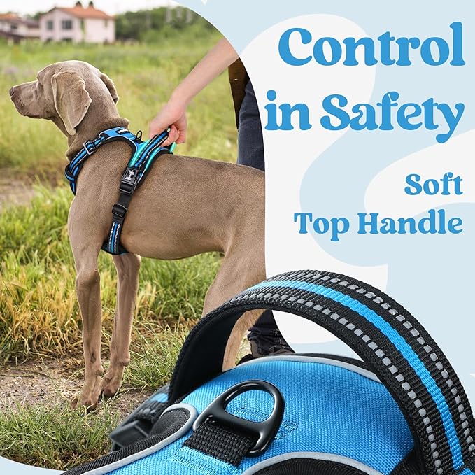 rabbitgoo Dog Harness for Large, No Pull Easy On & Off - Image 5