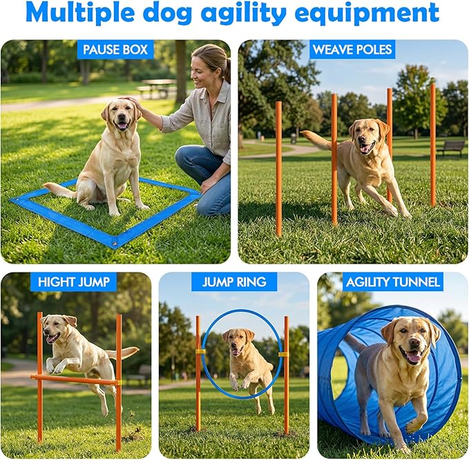 XiaZ Dog Agility Course Backyard Set, Dog Obstacle Course Training Starter Kit - Image 4
