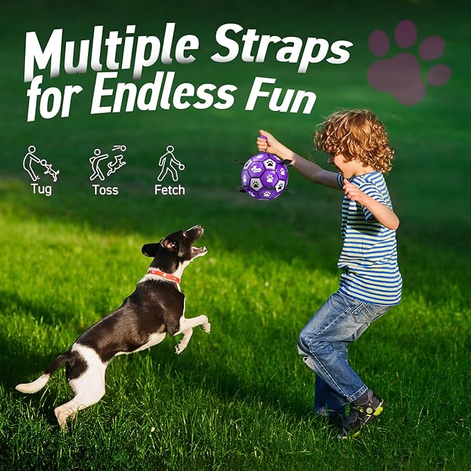 QDAN Soccer Ball for Dogs - Image 5