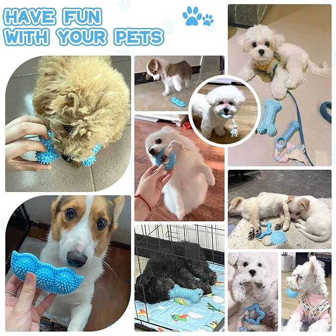 Petcare 6 Pack Puppy Chew Toys - Image 8