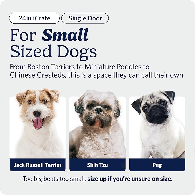 MidWest Homes for Pets 24-Inch iCrate for Small Breeds, 12-20 lbs, Single Door - Image 2