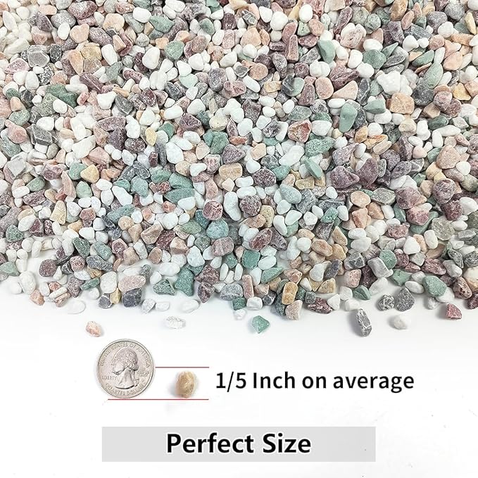 YISZM 5LB Succulent and Cactus Gravel Pebbles, 1/5 Inch Natural Decorative - Image 2