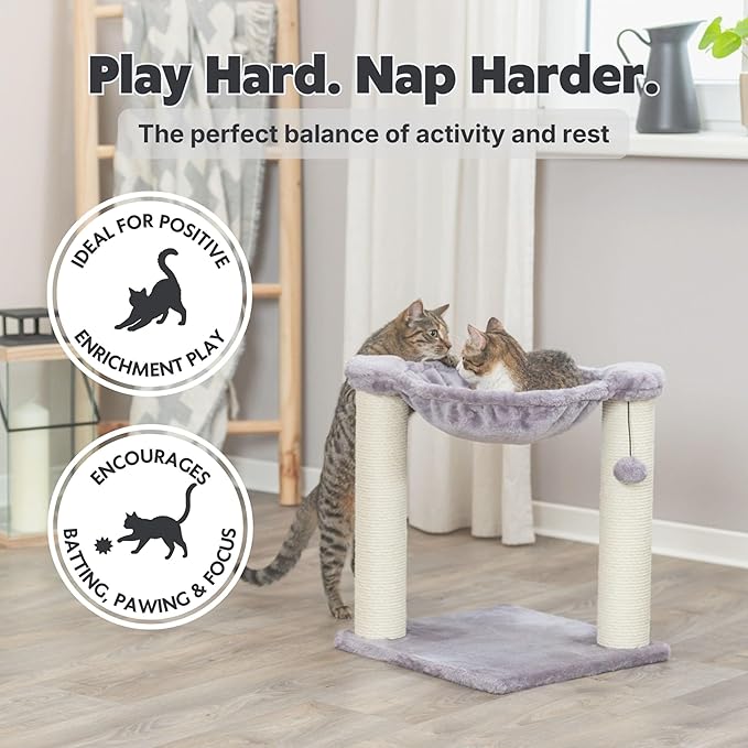 Trixie Baza Cat Scratching Posts, Indoor Cat Furniture - Image 5