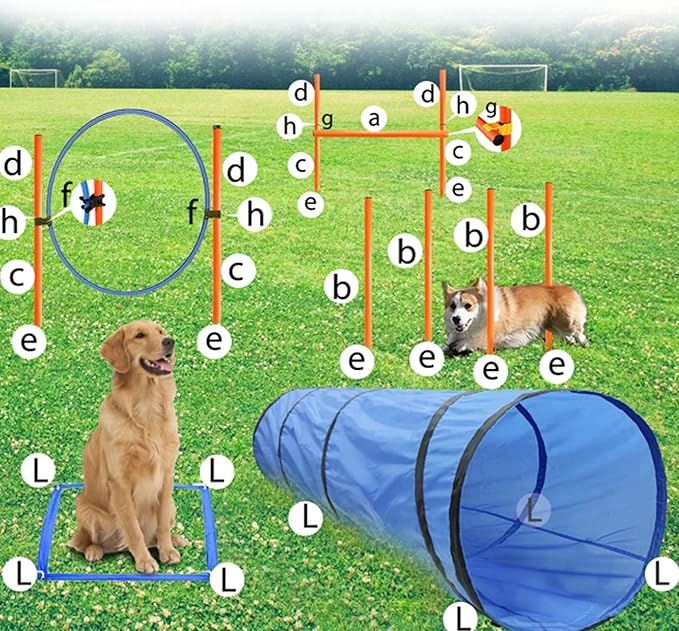 Dog Agility Training Equipment, Obstacle Agility Training Starter Kit - Image 4