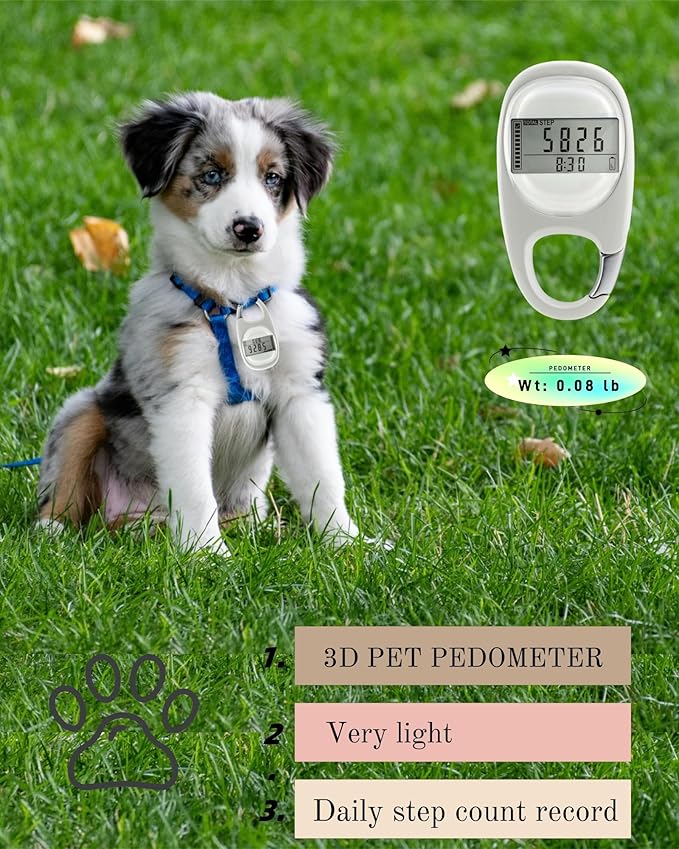 3D Pedometer for Walking Steps Miles, Distance Tracking, Calorie Count - Image 5
