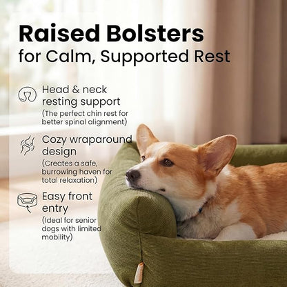 Small Dog Bed for Small Dogs, Cat Beds for Indoor Cats Washable, Orthopedic Dog - Image 2