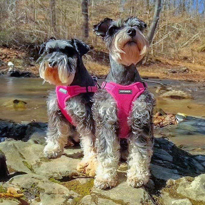 Best Pet Supplies Voyager Adjustable Step-in Flex Breathable Mesh Dog Harness - Image 8