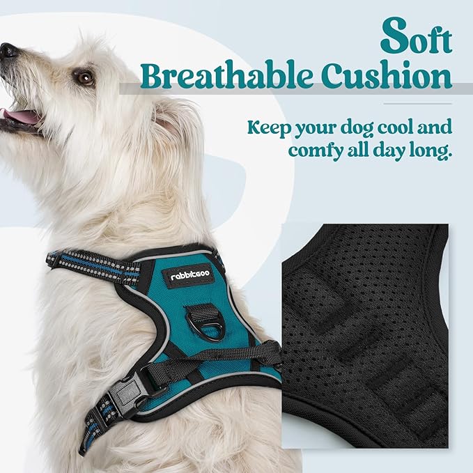 rabbitgoo Dog Harness No Pull - Image 2