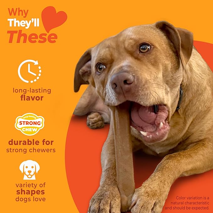 Nylabone Strong Chew Dog Toy 4-Pack Made - Image 3