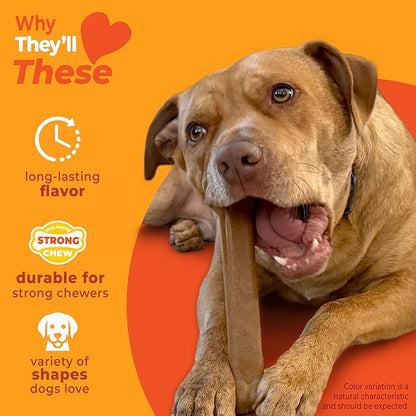 Nylabone Strong Chew Dog Toy 4-Pack Made - Image 3