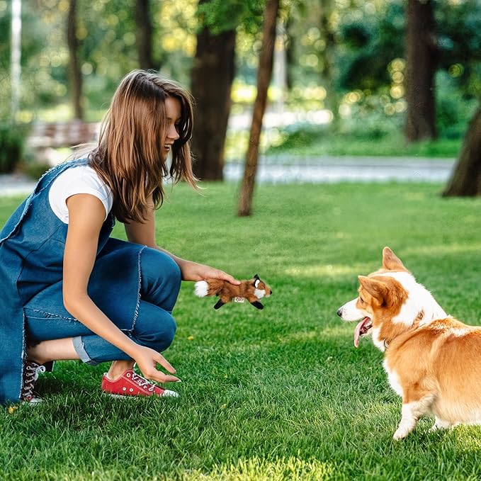 ALL FOR PAWS Squeaky Doy Toy, Fox Dog Toy for Small Medium Breed, Puppy Fetch - Image 5