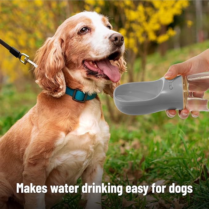 Mr. Pen- Portable Dog Water Bottle, 19 oz, Leak Proof Puppy Water Dispenser - Image 4