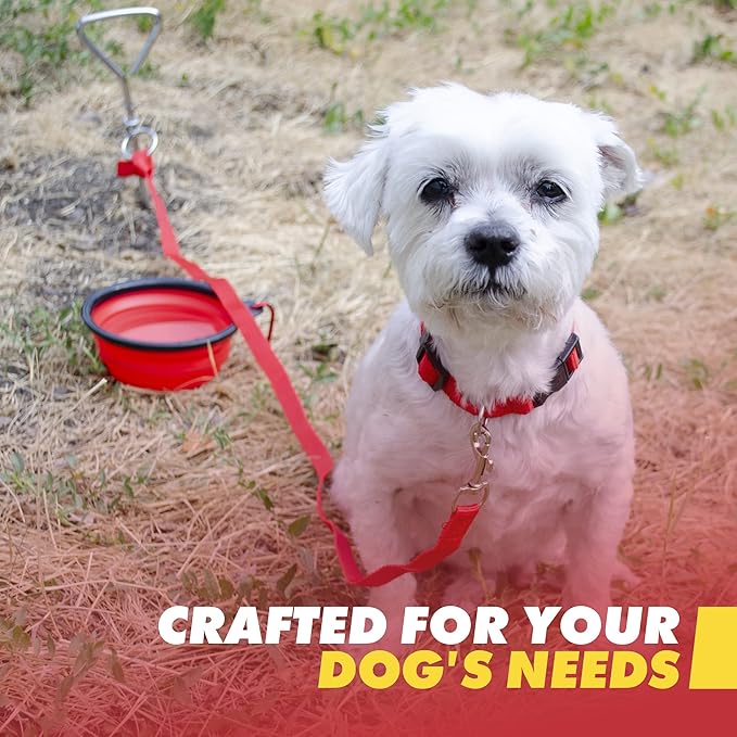Emergency Zone - Small Dog Emergency Survival Kit - Bug Out, Travel Kits - Image 3