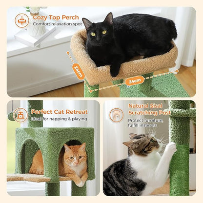 MUTTROS Cactus Cat Tree for Indoor Cats, 44.5" Multi-Level Cat Tower - Image 5