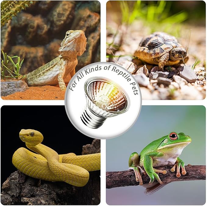 4-Pack 25W UVA Bulbs, Fit E26 Heat Reptile Lamp, Light Turtle Heat Lamp - Image 4