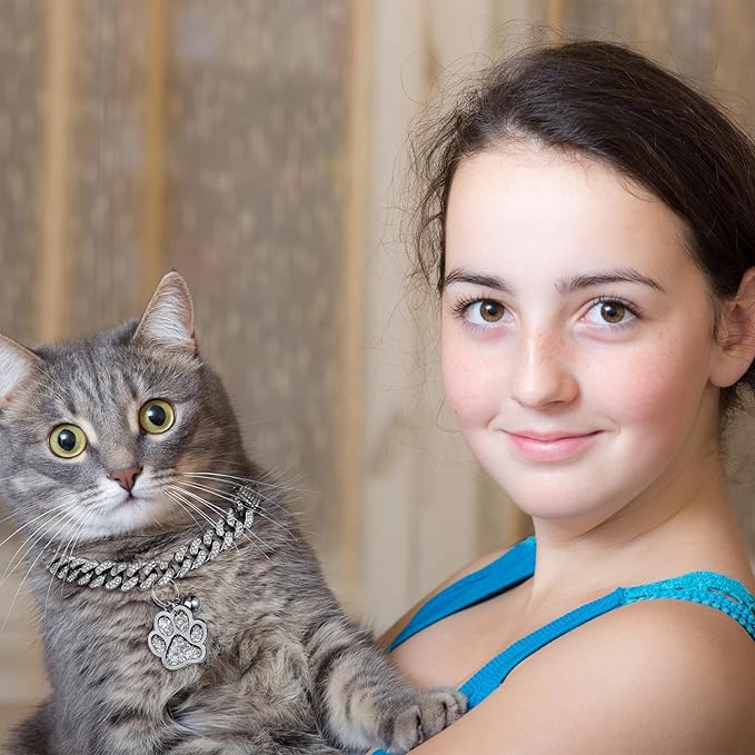 Hillban Cat Collar Diamond Chain Glitter Collar Walking Metal - Image 5