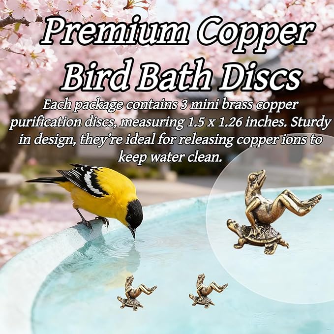 3 Pack Mini Frog and Turtle Brass Bird Bath Decorations Cute Garden Ornaments - Image 5
