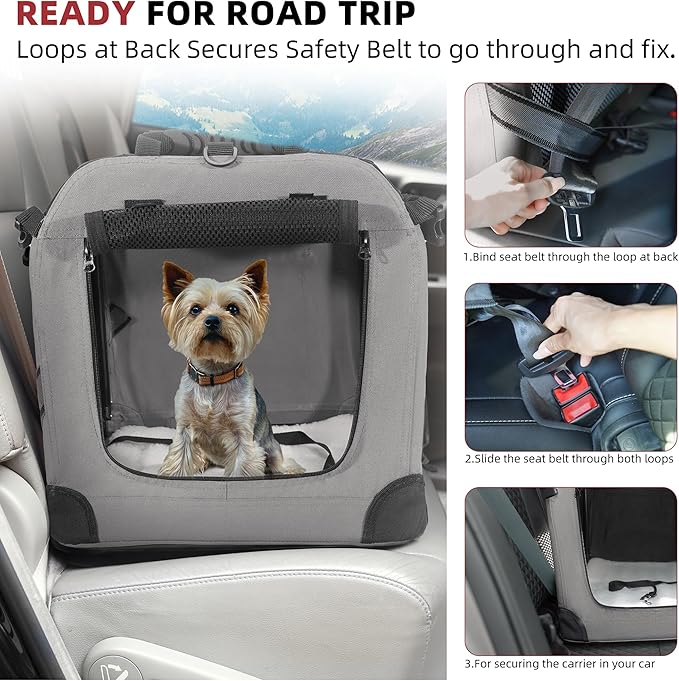 Petprsco Large Cat Carrier for 2 Cats Small Medium Dogs, Soft Pet Carrier - Image 3