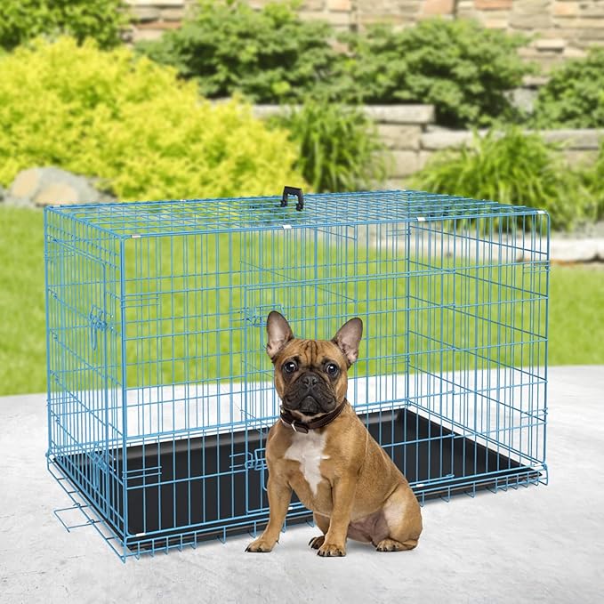 BestPet | Dog Crate | 30" | Blue | Foldable Metal Kennel - Image 2