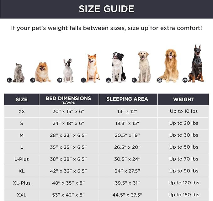 Bedsure Orthopedic Dog Bed Medium Size Dogs - Image 7