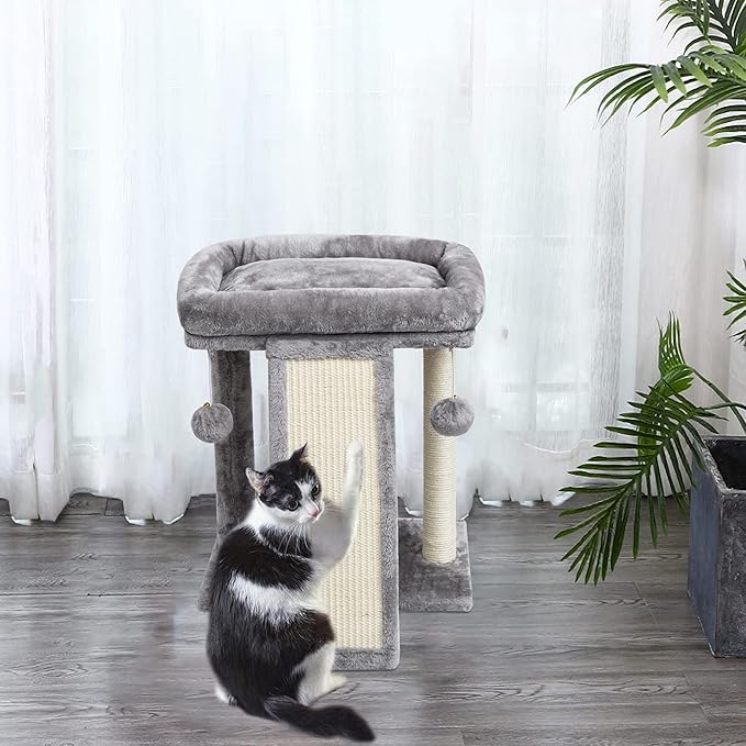 SYANDLVY Small Cat Tree with Scratching Post, Cat Scratching Board - Image 6
