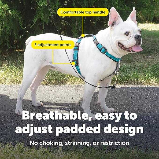 PetSafe 3 in 1 No-Pull Dog Harness - Image 5