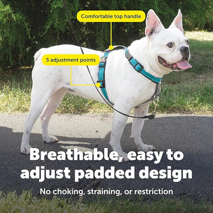 PetSafe 3 in 1 No-Pull Dog Harness - Image 5