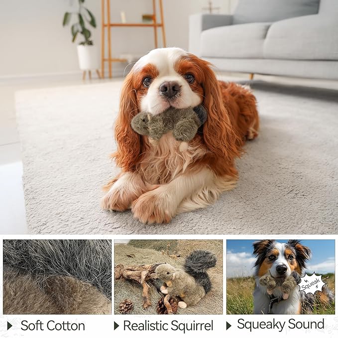 ALL FOR PAWS Classic Squirrel Pet Toys - Image 5