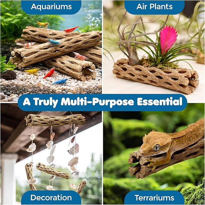 SunGrow Cholla Wood, 6” Climbing Logs, Chew Toy, Aquarium Fish, and Shrimp - Image 6