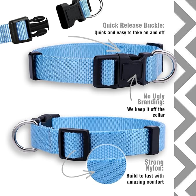 Native Pup Basic Nylon Dog Collar, Adjustable - Image 4