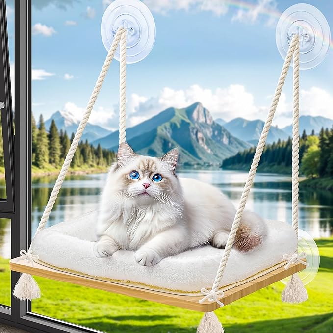 Cat Window Perch Cat Hammock Kitten Window Seat by Unknown