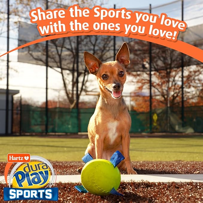 Hartz Dura Play Sports Baseball Dog Toy, Bacon Scented Squeaky Latex Yellow & - Image 7