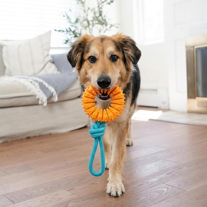 Dental Chew Wheel Dog Toy – Ring & Rope Tug, Soft on Teeth, Moderate Chewers - Image 5