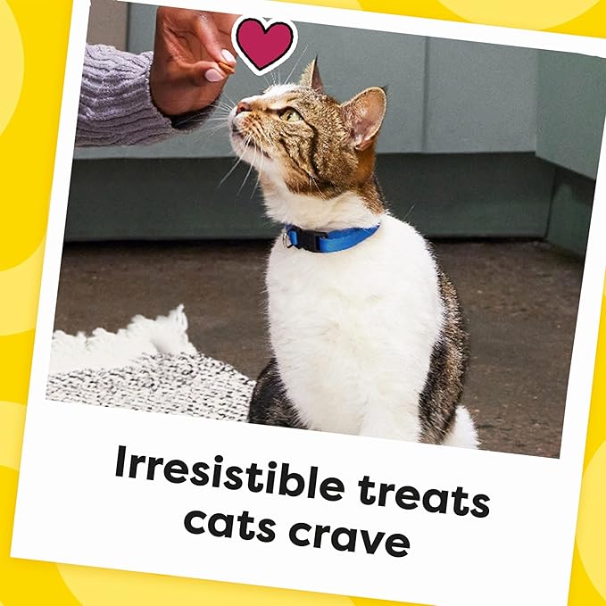 Temptations Cat Treats Classic Crunchy and Soft Cat Treats, Tasty Chicken Flavor - Image 10