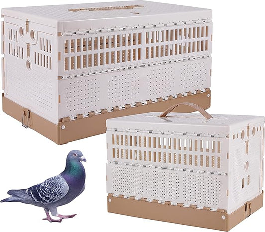 Plastic Foldable Pigeon Cage by TOHONGADON