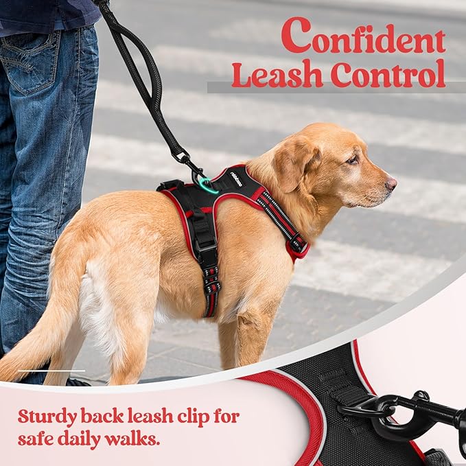 rabbitgoo Dog Harness No Pull - Image 6