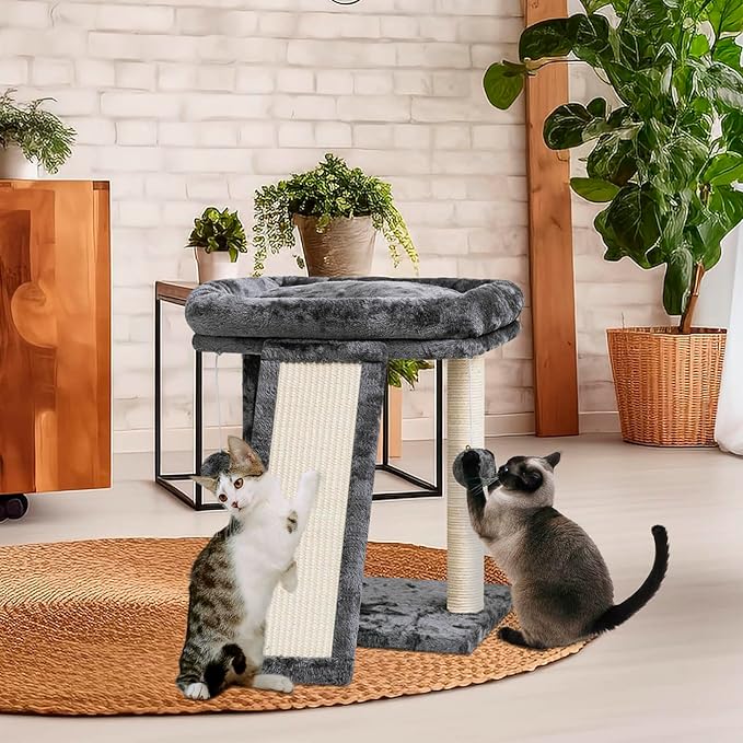 SYANDLVY Small Cat Tree with Perch, Cat Scratching Board - Image 2