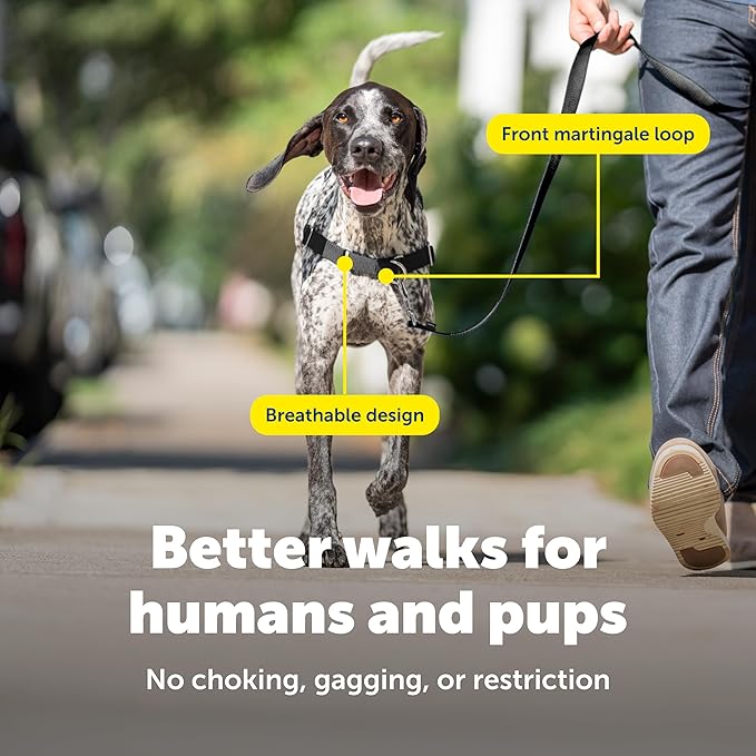 PetSafe Easy Walk No-Pull Dog Harness - Image 4